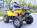 Квадроцикл MOTOLAND (МОТОЛЕНД) VOX200 WILD TRACK X PRO (баланс. вал) в Абакане