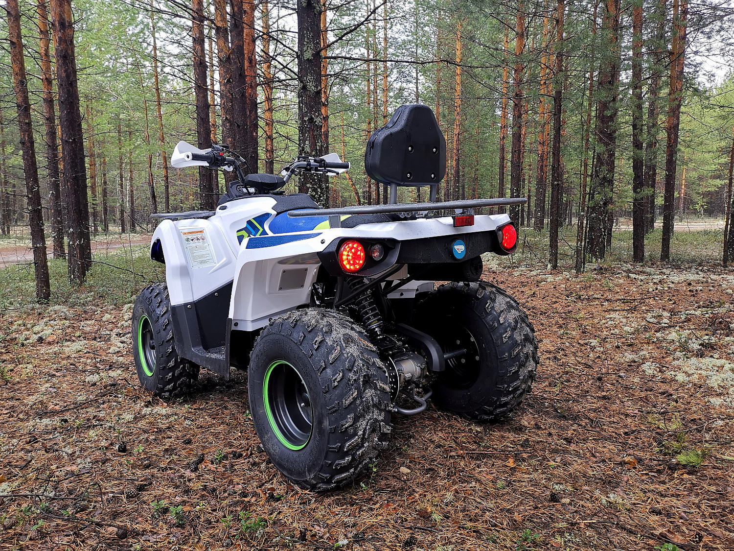 Квадроцикл PROMAX RENEGADE 280 (2025) в Абакане