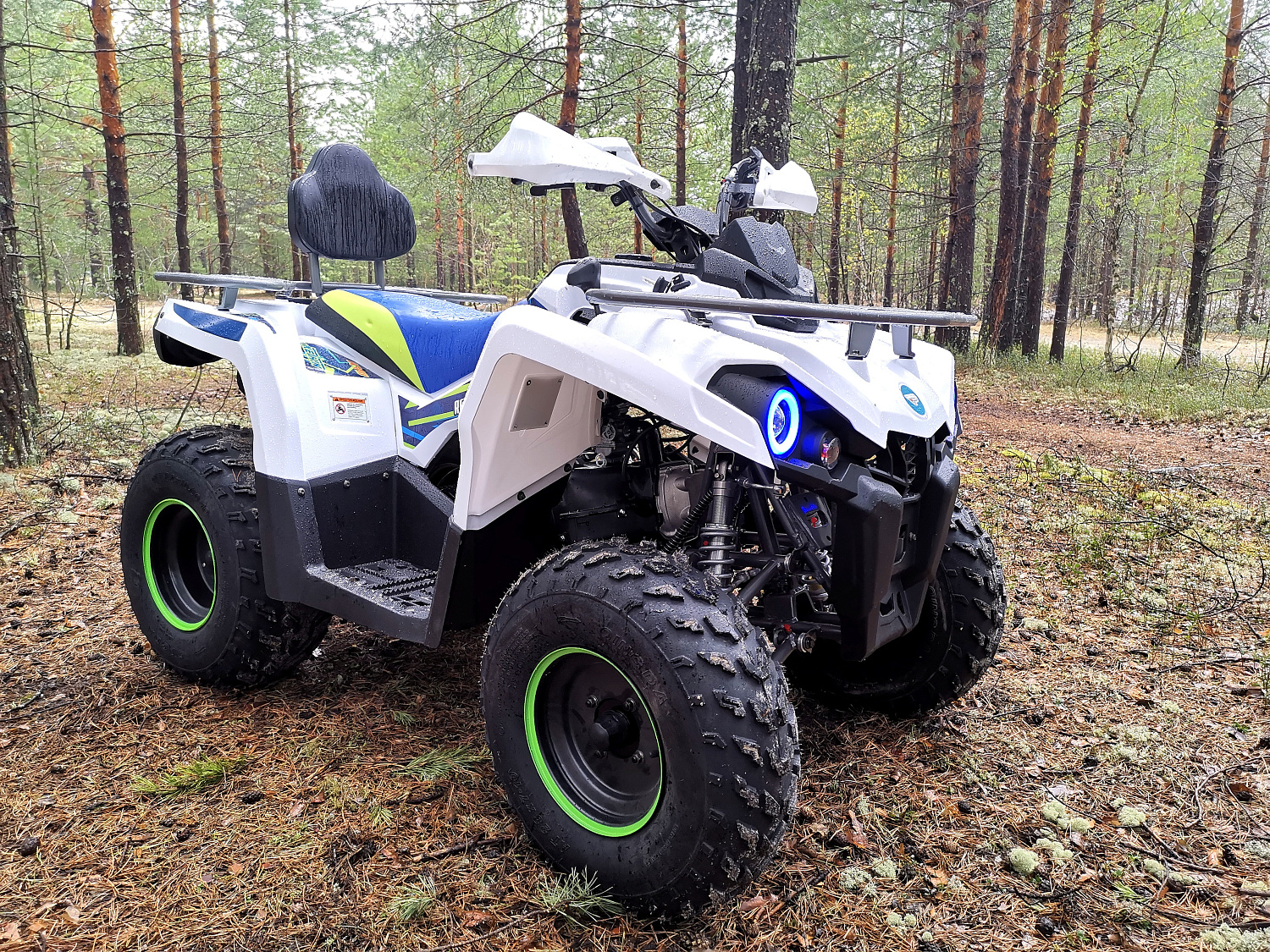Квадроцикл PROMAX RENEGADE 280 (2025) в Абакане