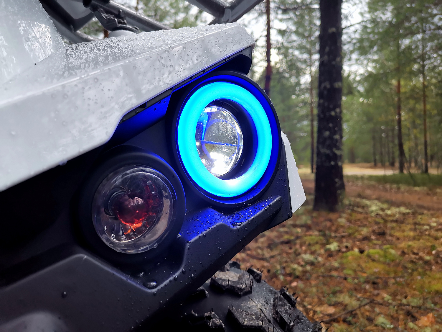 Квадроцикл PROMAX RENEGADE 280 (2025) в Абакане