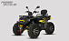 Квадроцикл PROMAX TAURUS 300 MAX-PRO LONG в Абакане